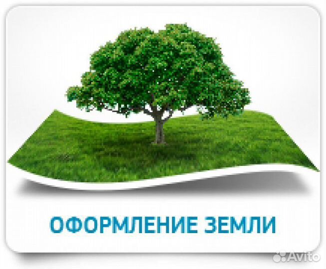 Все операции с недвижимостью. Оформление земельных
