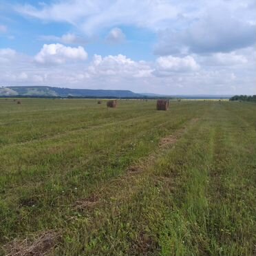 Сено в рулонах