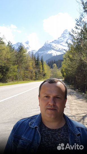 Web программист IT специалист