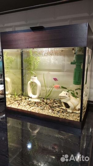 Аквариум с рыбками