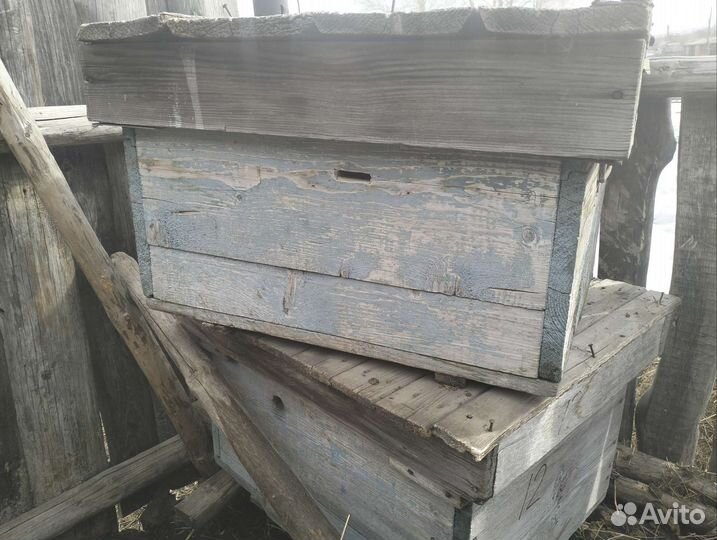 Продам ульи для пчел