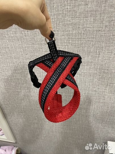Шлейка для маленькой собаки