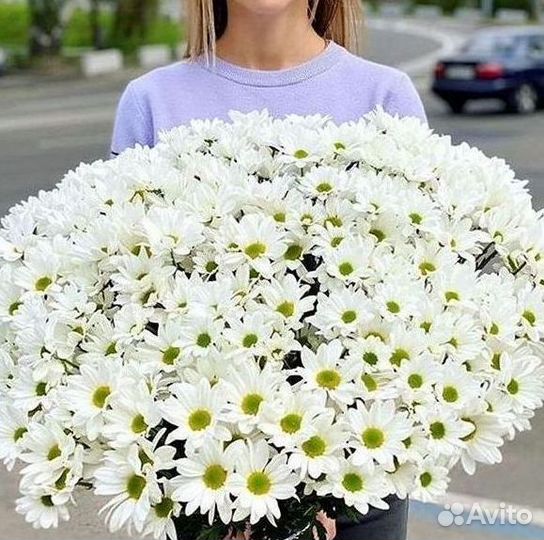 Хризантема. Букеты Цветы доставка