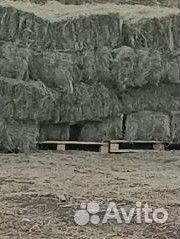 Сено в квадратных тюках