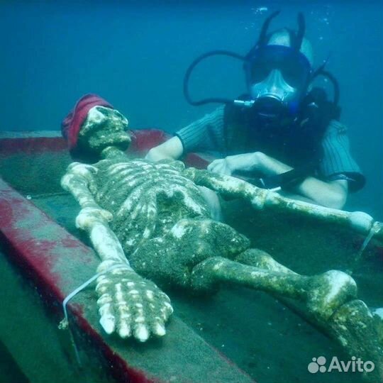 Дайвинг Адлер