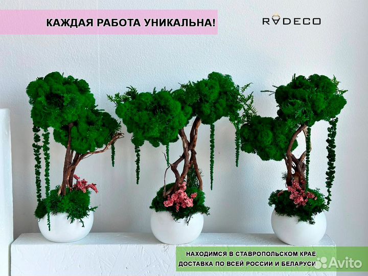 Дерево со стабилизированным мхом