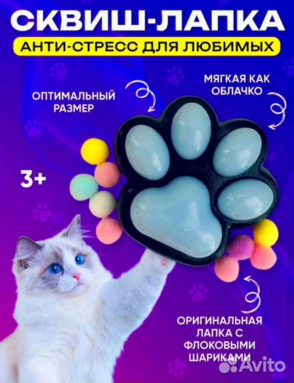 Таба лапка сквиш