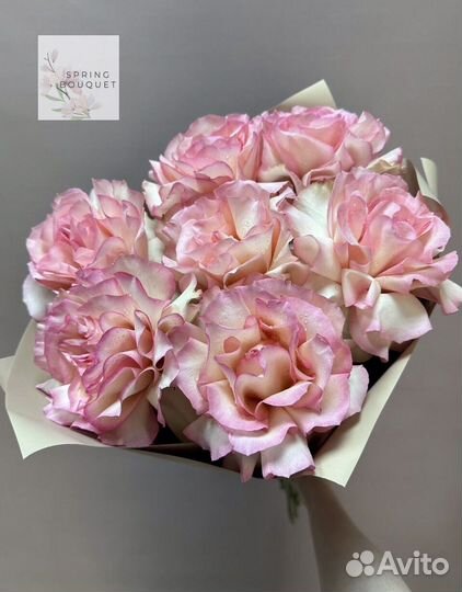 Розы Доставка Цветов 25 51 101 Роза