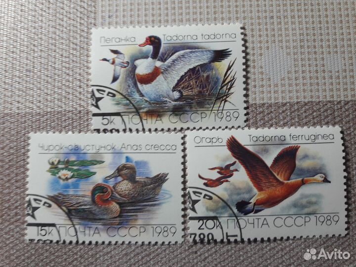 Марки фауна