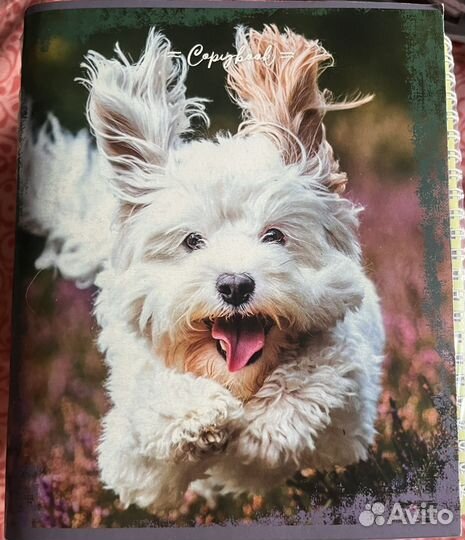 Тетради 96 листов, в клетку