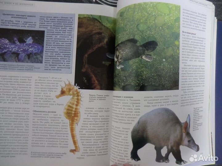 Все тайны мира-энциклопедия неразгаданного