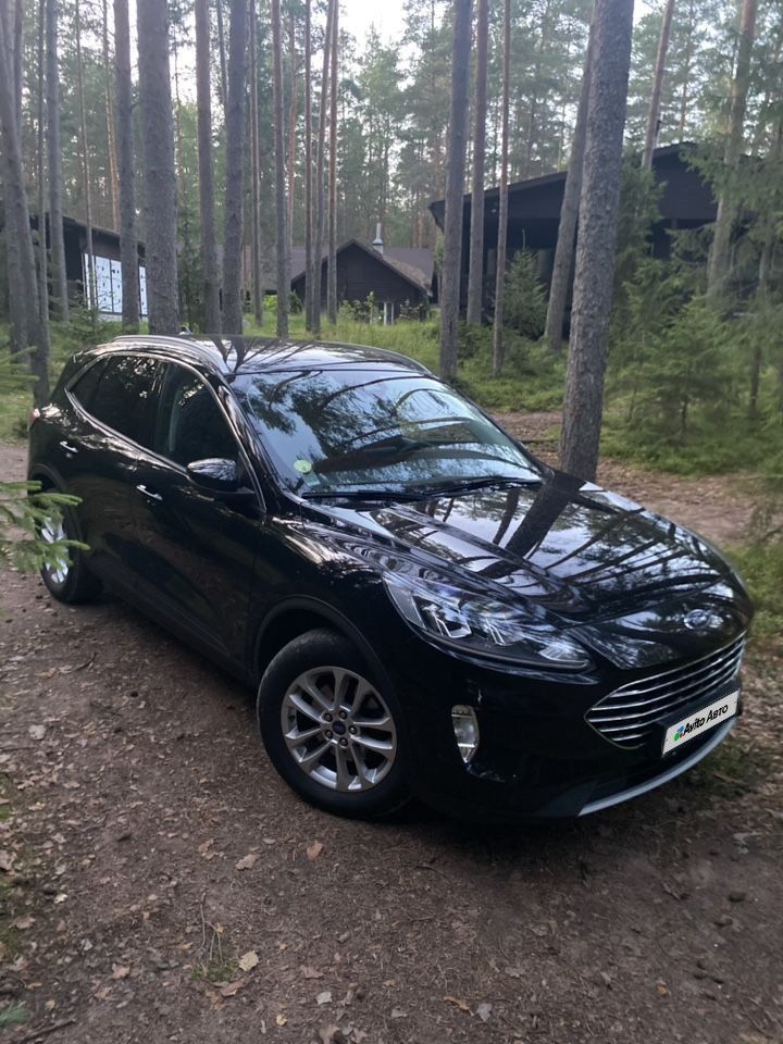 Ford Kuga: фото владельца