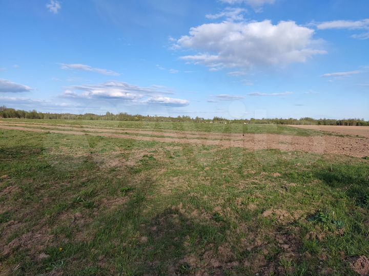 Участок 9,4 га (СНТ, ДНП)