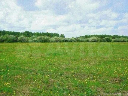 Участок 7,19 га (СНТ, ДНП)