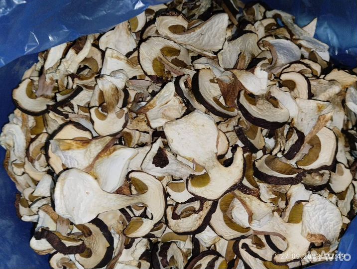 Грибы белые сушеные