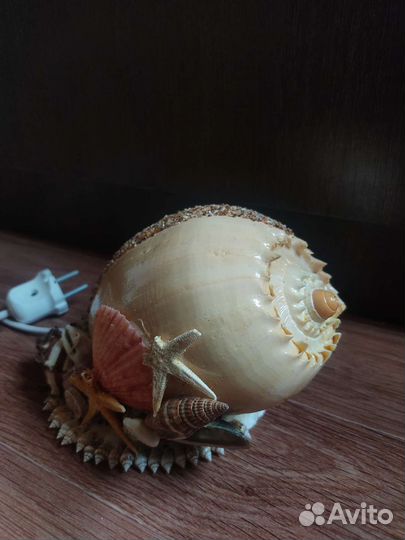 Светильник ночник из ракушек (ракушка)