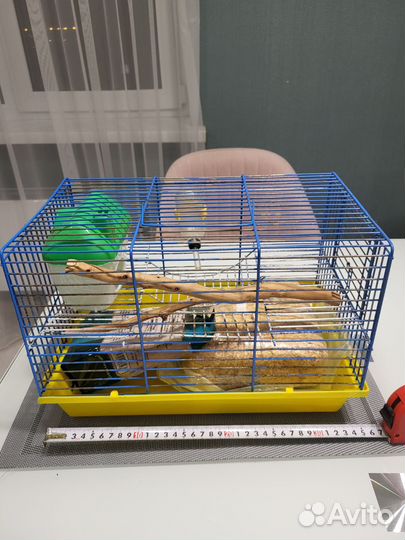 Клетка для хомяка 360/230/230