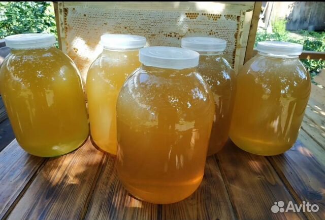 Мед местный, качка хх.08.2023 (доставка)