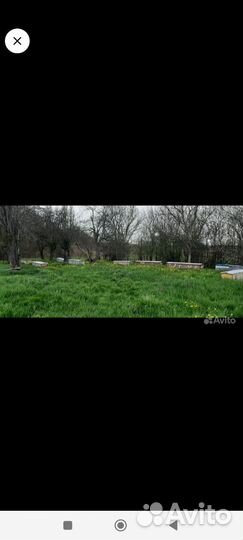 Продам улики для пчёл