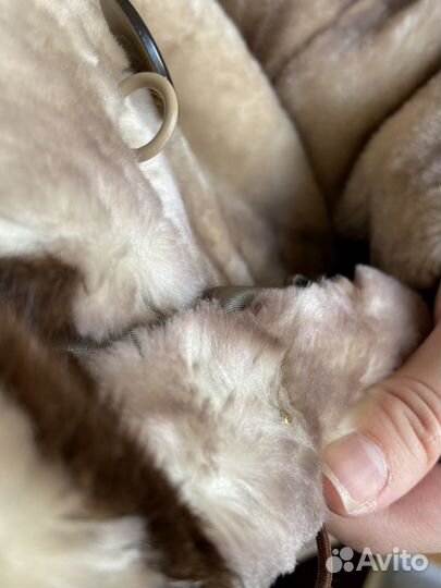 Шуба мутон+норка Elena Furs