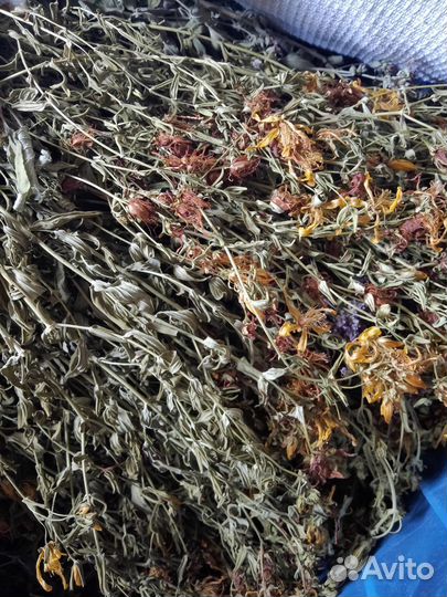 Зверобой сушеный