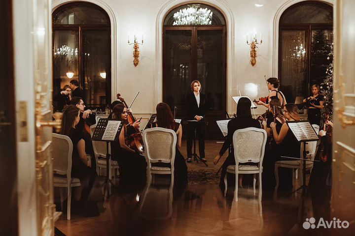 Репетитор по скрипке