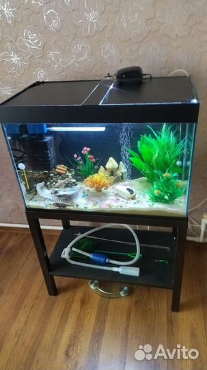 Аквариум