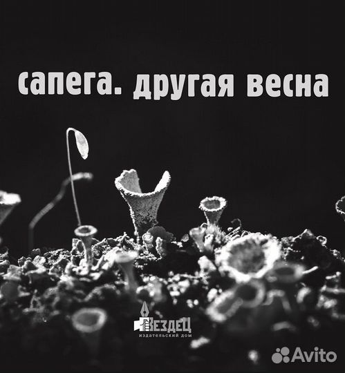 Сапего Михаил Сапега. Другая весна