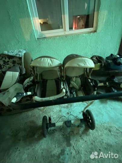 Fenix Teddy Duo 2в1