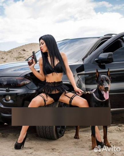 Фотосессия с доберманом