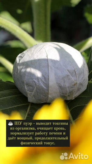 Китайский чай