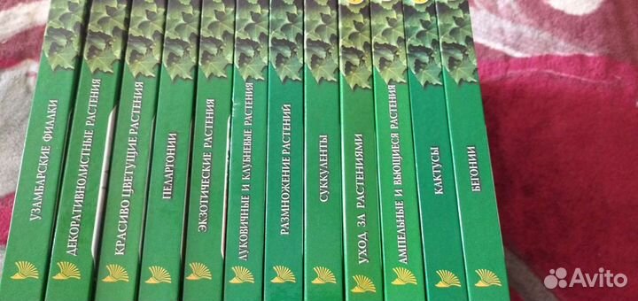 Энциклопедия комнатных растений