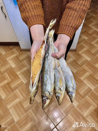 Корюшка вяленая с икрой