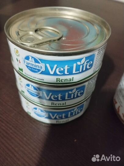 Влажный корм для кошек