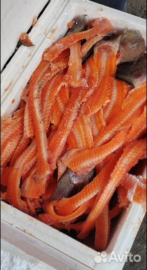 Суповой набор из лосося