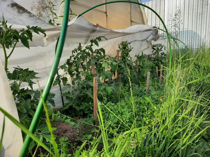 Дача 30 м² на участке 4,1 сот.