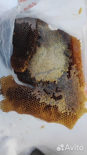 Продам колоду для пчел