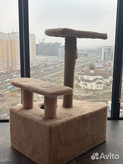 Когтеточка