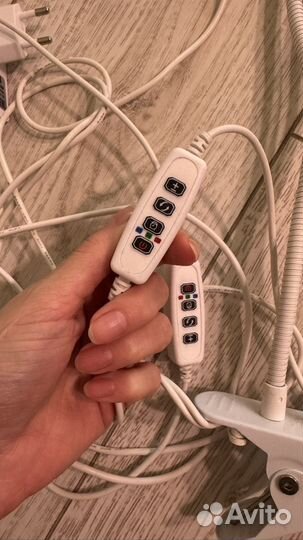 Фитолампа на прищепке с таймером