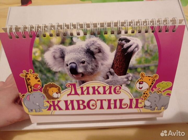 Книжка игрушка