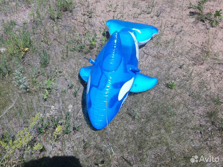 Надувная акула и жилет