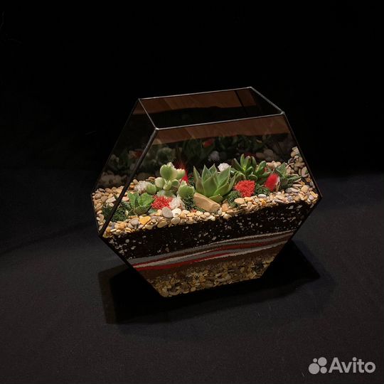 Флорариум Шестигранник