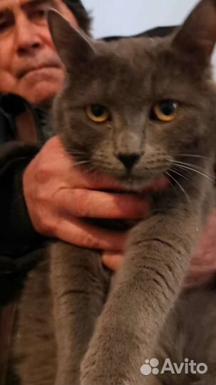 Забракован, но не сломлен