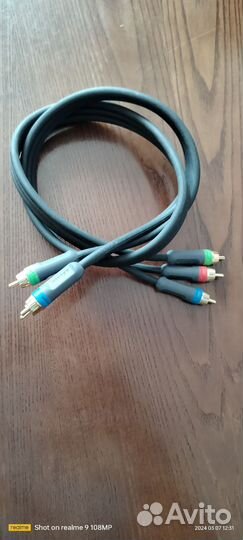 Тюльпаны провода