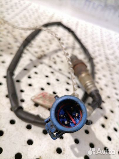 Лямбда зонд Ford Focus