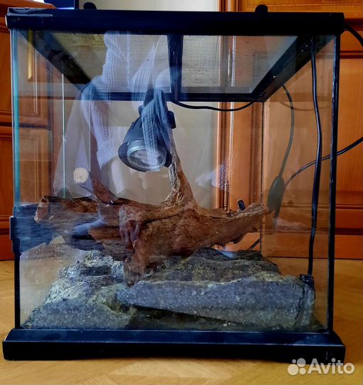 Террариум для рептилий