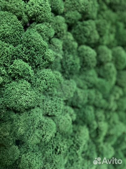 Интерьерная картина акрил