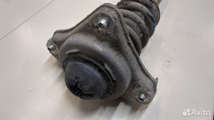 Амортизатор подвески Audi A6 (C6), 2008