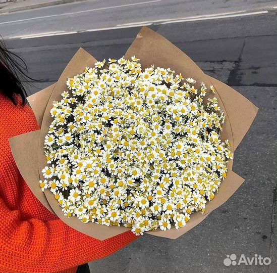 Ромашки Пионы Розы Доставка