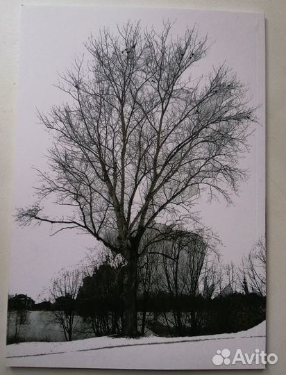 Книга авторская. беня из Коломны 